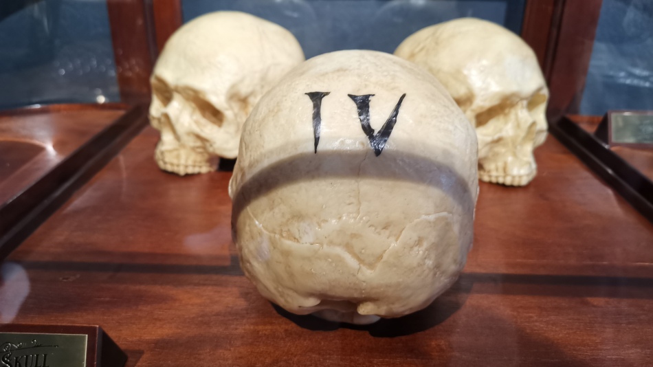 Diablo IV chocolate skulls